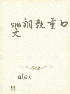 sm调教重口h文封面