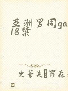 亚洲男同gay18禁