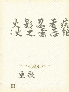 火影忍者疾风传:火之意志继承者