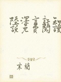 陆泽言许知夏小说免费阅读最新章节封面