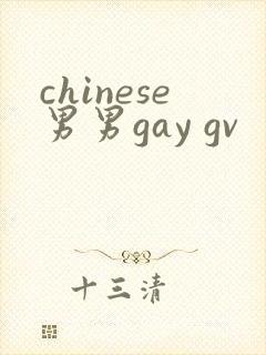 chinese男男gay gv