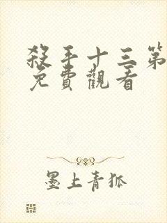 杀手十三第一季免费观看封面