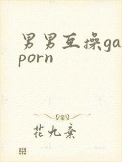 男男互操gayporn