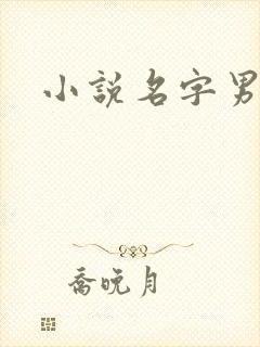 小说名字男生封面