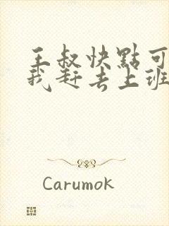 王叔快点可以吗我赶去上班