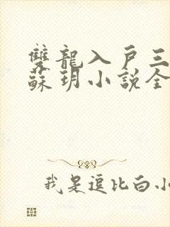 双龙入户三人行苏玥小说全文阅读