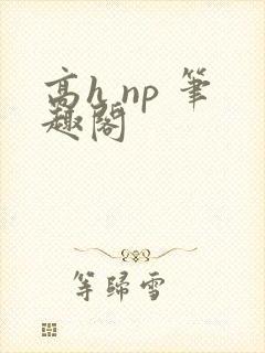 高h np 笔趣阁