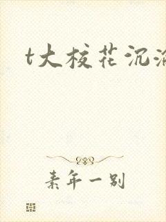 t大校花沉沦封面