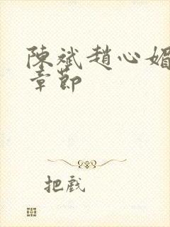 陈斌赵心媚免费章节