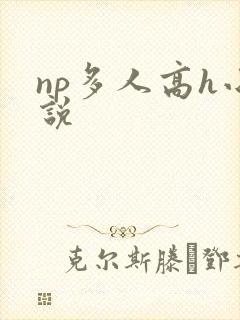 np多人高h小说