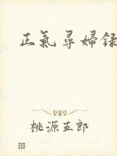 正气寻妇录