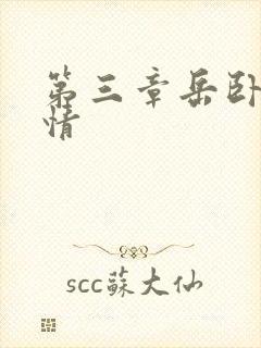 第三章岳卧室激情