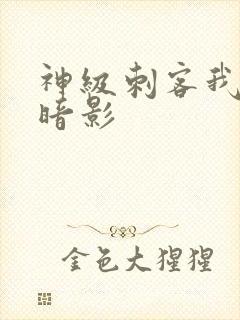 神级刺客我既是暗影