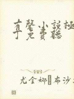 有声小说极品家丁免费听