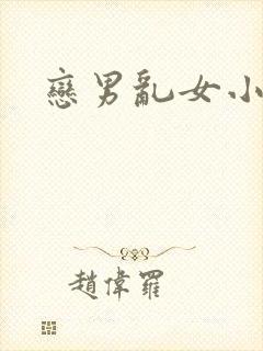 恋男乱女小说封面