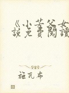 《小芳父女》小说免费阅读