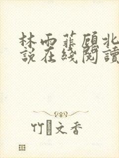 林雨菲顾北潇小说在线阅读