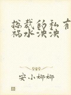 总裁的私有宝贝祸水泱泱