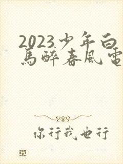 2023少年白马醉春风电视剧33集播放