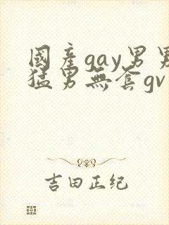 国产gay男男猛男无套gv