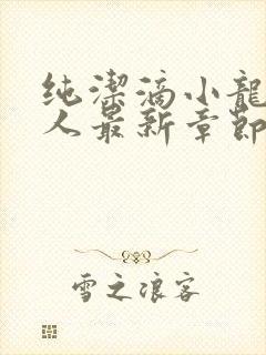 纯洁滴小龙捞尸人最新章节更新