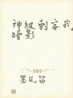 神级刺客我即为暗影