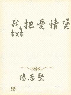 我把爱情煲成汤txt