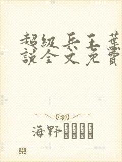 超级兵王叶谦小说全文免费阅读