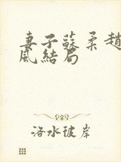 妻子苏柔赵刚林风结局封面