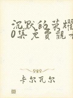 沉默的荣耀第40集免费观看