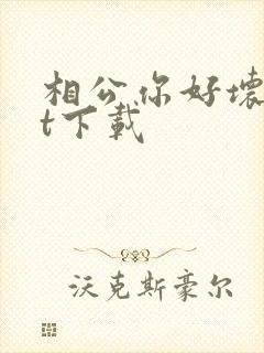相公你好坏txt下载