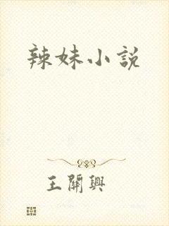辣妹小说