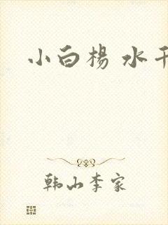 小白杨 水千丞封面