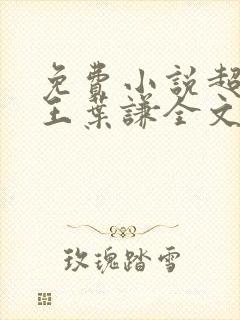 免费小说超级兵王叶谦全文阅读封面