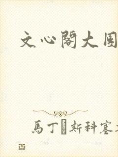 文心阁大团结封面
