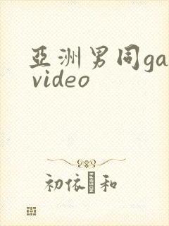 亚洲男同gay video
