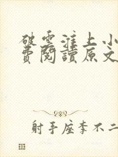 破云淮上小说免费阅读原文封面