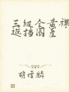 三级全黄裸体无遮挡国产