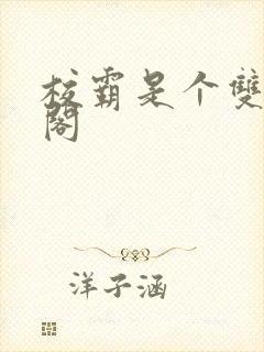 校霸是个双笔趣阁