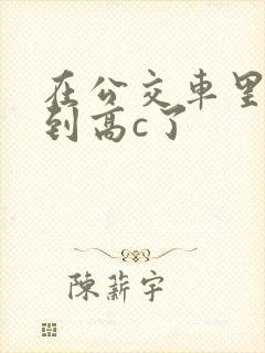 在公交车里c弄到高c了