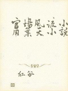 官场风流小说主角叶天小说免费阅读下载