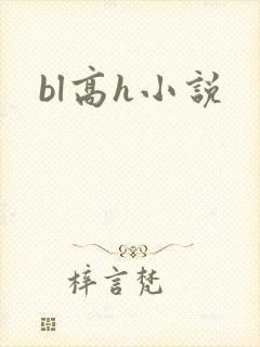 bl高h小说封面