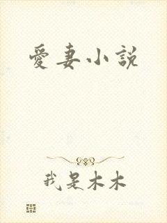 爱妻小说