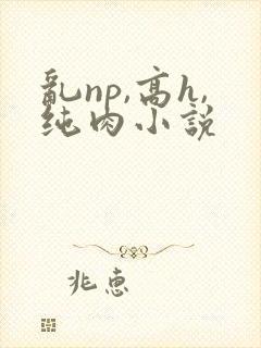 乱np,高h,纯肉小说