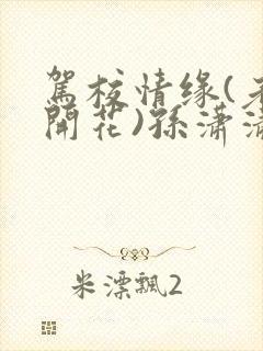 驾校情缘(老树开花)孙潇潇笔趣阁封面