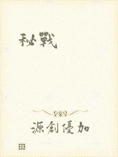 秘战封面