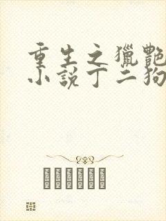 重生之猎艳人生小说丁二狗免费阅读