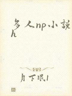 多人np小说高h