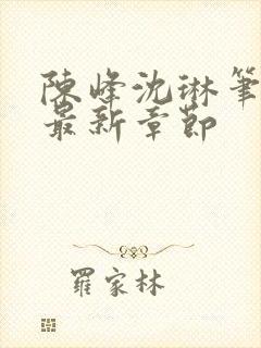 陈峰沈琳笔趣阁最新章节