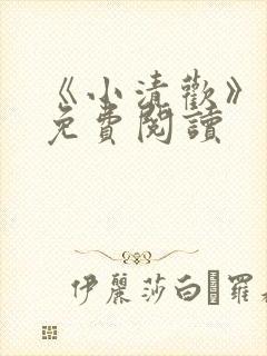 《小清欢》番外免费阅读